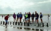 'Wadlopen' in Zeeland